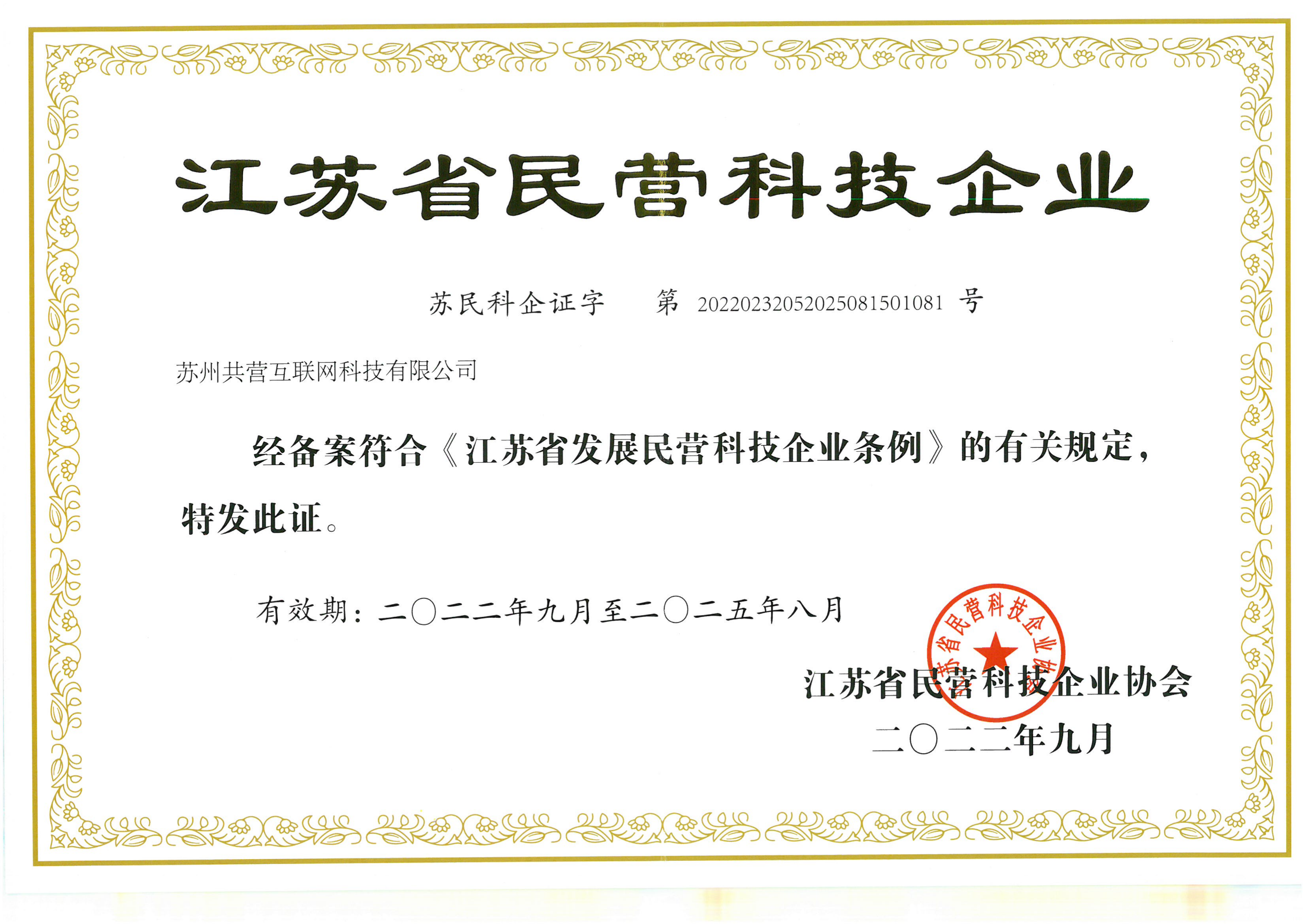 共营民营科技企业证书